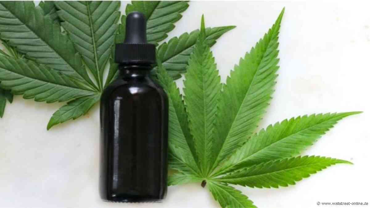 SYNBIOTIC SE: Zuvor aufgezeigte Risiken haben sich materialisiert; Uder Review
