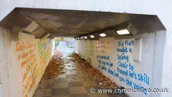 More graffiti appears in West Denton despite police action days ago