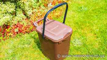 Binman issues 'use the right bin' alert for anyone throwing away everyday item