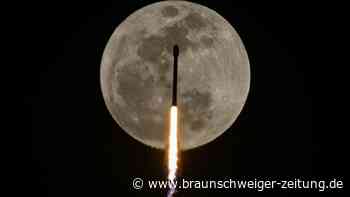 „Verheerende“ Folgen: US-Botschafter droht Europa wegen Starlink-Plänen