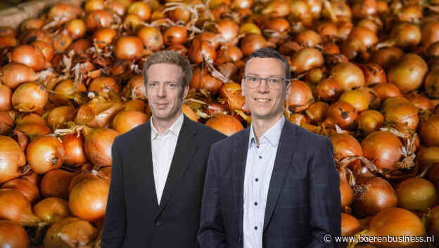 Er is geen middenweg op de uienmarkt