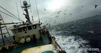Death of Scotland’s seas? Fury at SNP stewardship of country's once-bountiful waters