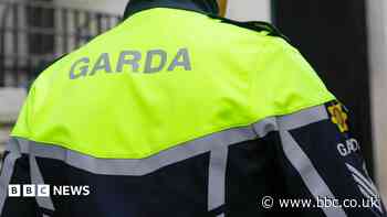 Man in his 30s dies after Dublin assault