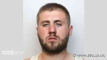 'Menace' driver tried to bite officers after chase