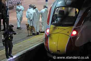 Man accused over London-bound train stabbings admits string of knife attacks