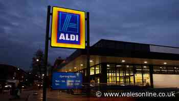 Aldi's new £7 item helps millions avoid £1,000 fine when clocks go back