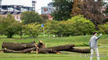 Judge refuses DOJ’s demand to step aside from golf course hearing 