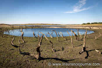 Severe Drought Hits Parts of England for First Time Since 1995