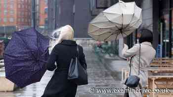 Power cut warning as 70mph winds predicted to batter England this weekend