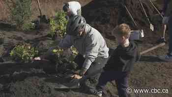 Volunteers plant more than 500 trees and shrubs in Surrey, with over 7,000 more planned across Metro Vancouver