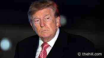 Trump approval hits record low in new survey