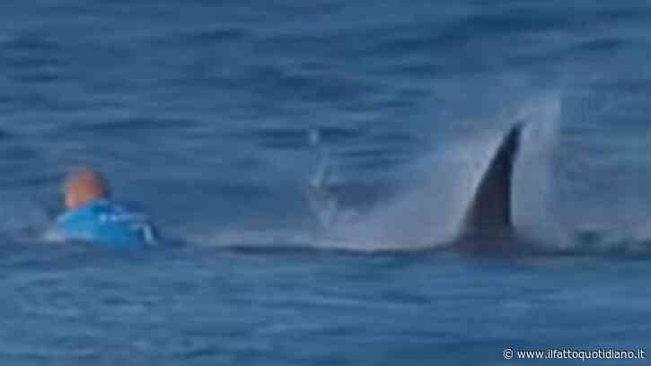 “Uno squalo mi si scagliò contro, iniziai a colpirlo con calci e pugni ma mi scrollò via come una foglia”: il surfista Flamming racconta la morte sfiorata in diretta tv