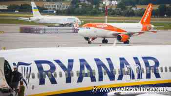 Europe's best airline for 2026 officially named - not easyJet or Ryanair