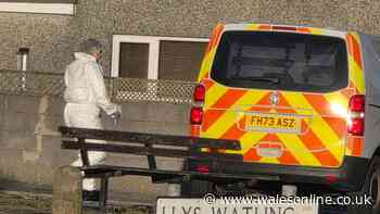 Man accused of murdering his own dad appears in court
