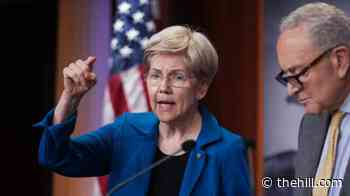 Warren warns against Sysco-Restaurant Depot merger