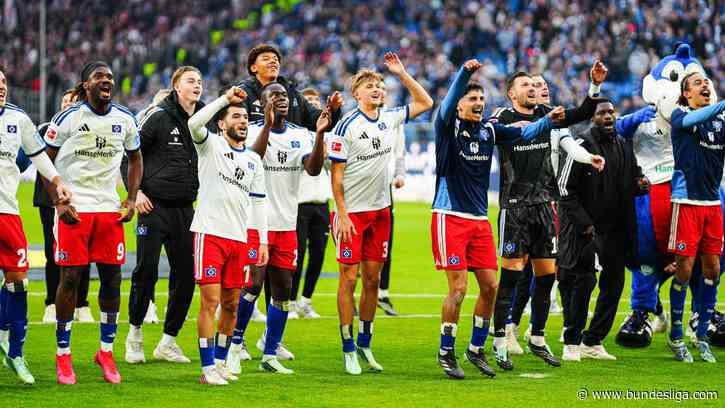 Energie gegeben: Dieser HSV-Fan bewegte die Mannschaft