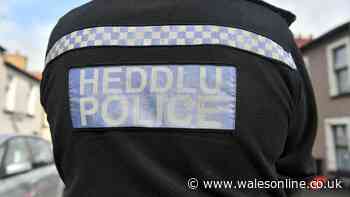 Police officer sacked over 'appalling and inappropriate' text messages
