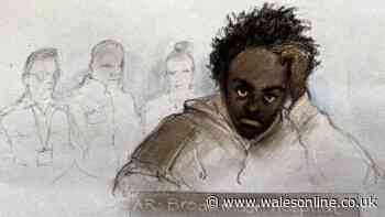 Axel Rudakubana facing trial over alleged prison officer attack