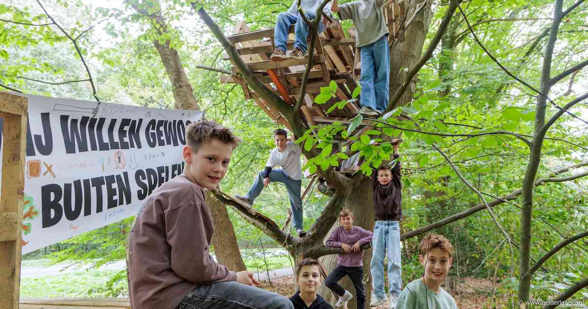 Nolan (10) en Hugo (10) moeten hun geliefde boomhut afbreken van de gemeente: ‘Wij willen gewoon buitenspelen’