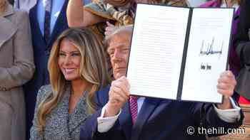 Trump creates new women’s health division within NIH 