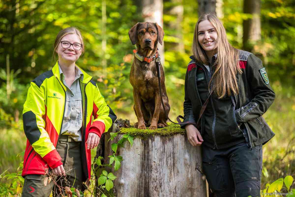 Generationswechsel im Erzgebirge: Zwei junge Frauen übernehmen Forstreviere