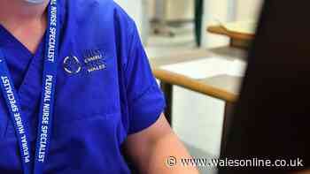 Major update after hundreds of newly-qualified nurses left distraught