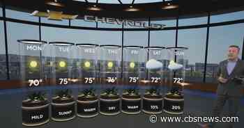Sunshine and chilly mornings all week in Atlanta before weekend rain chances