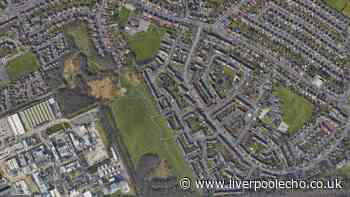 Soil trail leads police to suspects after suspected cannabis farm burglary in Halewood
