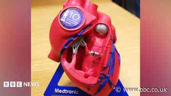 Hospital recognised for tiny pacemaker work