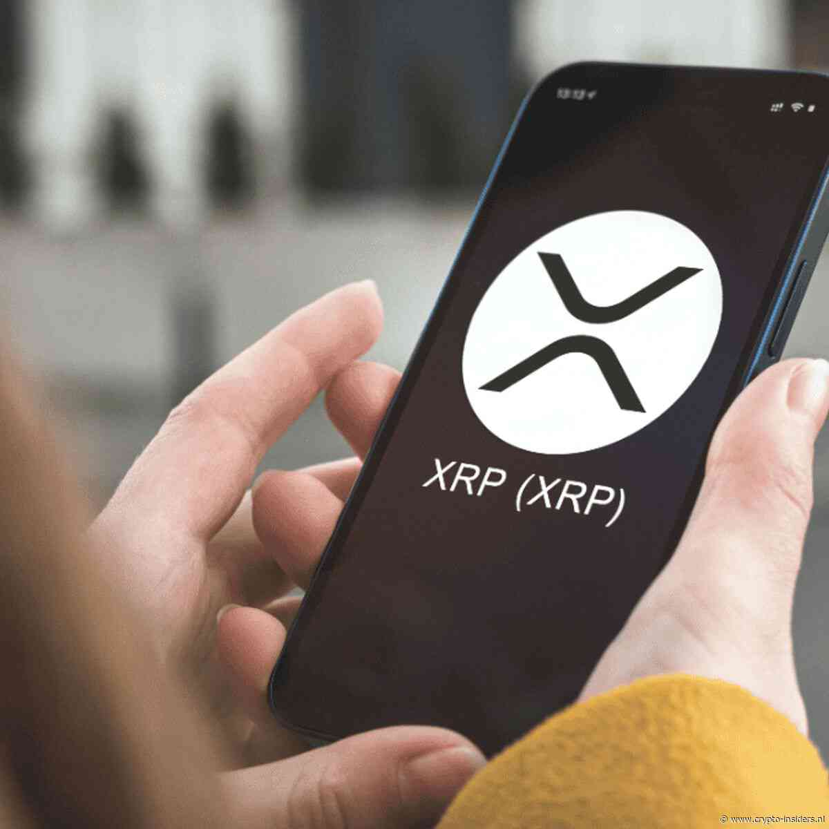 Nederland koopt: XRP nadert koppositie bij nieuwe Bitvavo-gebruikers