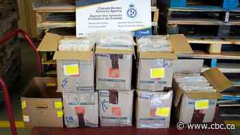 2 Mississauga men charged after 127 kg of cocaine seized at Ambassador Bridge