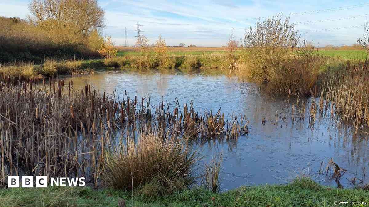 Wildlife habitat planned on more than 120 acres