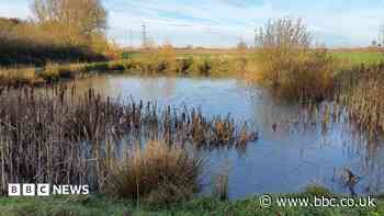 Wildlife habitat planned on more than 120 acres