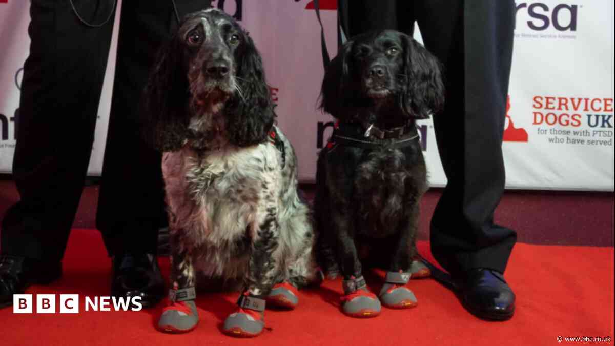 East Midlands fire dogs win national award