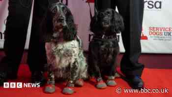 East Midlands fire dogs win national award