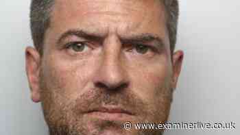Man docked puppies' tails and let hunting dogs' wounds go untreated