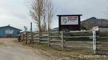 Harness driver dies after multi-horse collision at Osoyoos, B.C., raceway