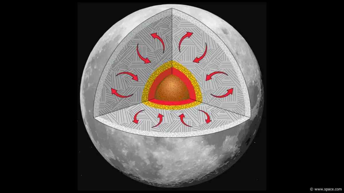 The moon is shrinking. 10,000 cracks on the lunar surface reveal by how much
