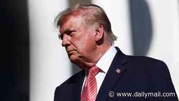 Trump demands New Mexico renamed to 'New America' setting off firestorm with two weeks to the midterms