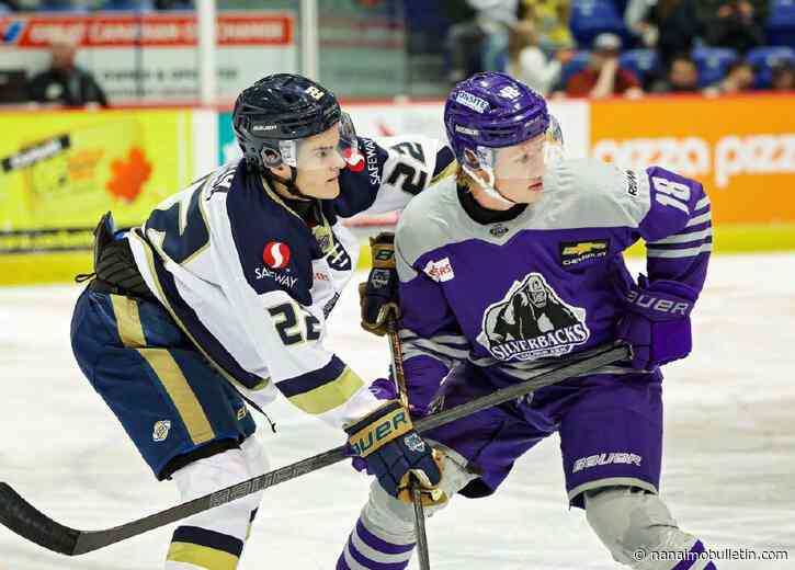 Weekend sweep lands Vernon Vipers at top of BCHL