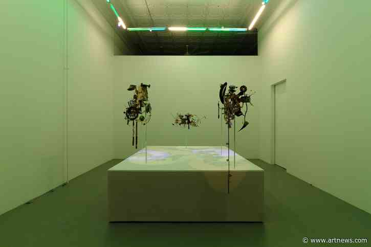 Prairie, Chicago Gallery That Put Conceptualism Ahead of Commercialism, Closes After Nearly a Decade