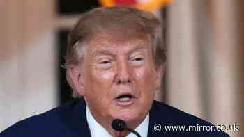 Trump says New Mexico should immediately be renamed New America in astonishing rant