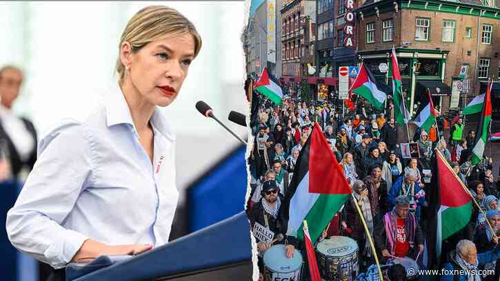 European Parliament votes to confront Muslim Brotherhood, 'Islamist entryism' in overwhelming vote