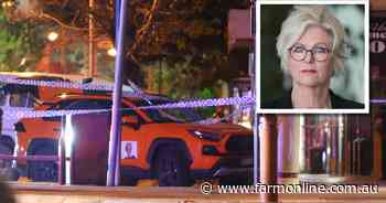 Helen Haines remains critical after emergency surgery following 'attack'