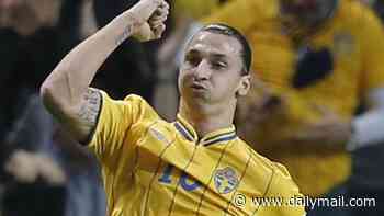 Zlatan Ibrahimovic's acrobatic stunner against England, Jamie Vardy's volley and a belter at Blackpool... after Diego Gomez's halfway-line stunner for Brighton, our experts pick their favourite goal
