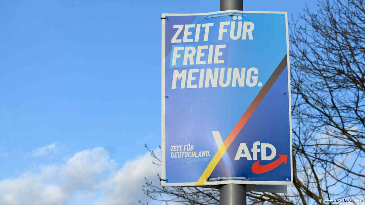 AfD gehackt: honderduizenden interne mails Duitse partij gepubliceerd