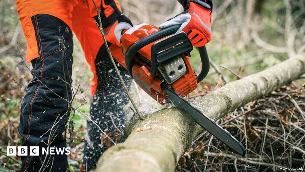 Teen not qualified to fell tree that killed him, inquest hears