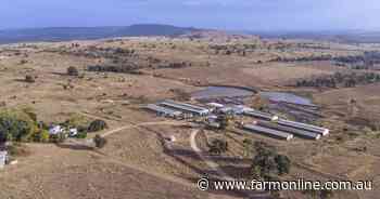 Farrow-to-finish operation turning-off about 10,000 pigs annually | Video
