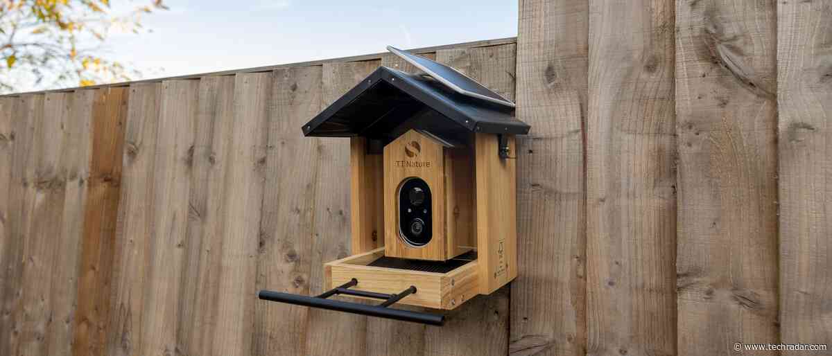 TT Nature bird feeder review: two weeks with the budget wooden smart feeder camera
