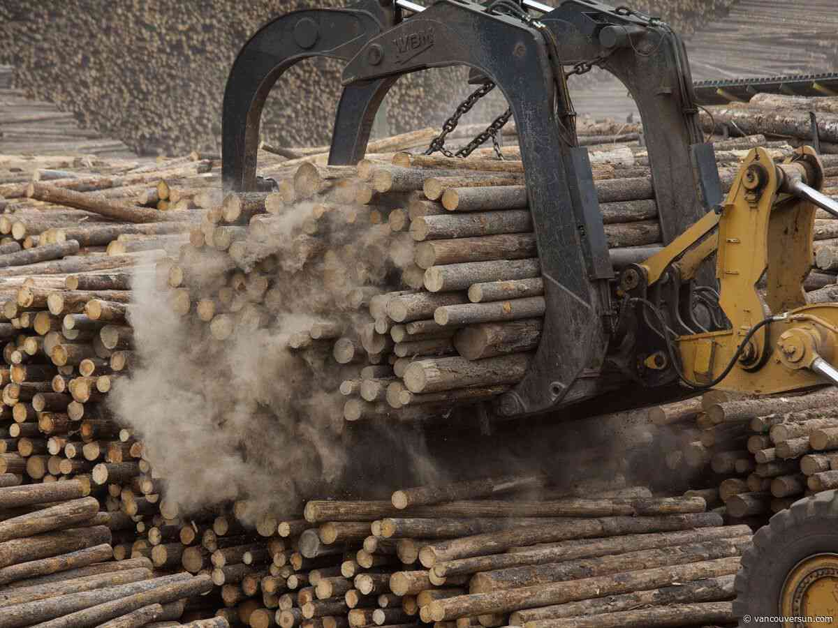Conservatives promise to amp up harvest for B.C.'s beleaguered forestry sector